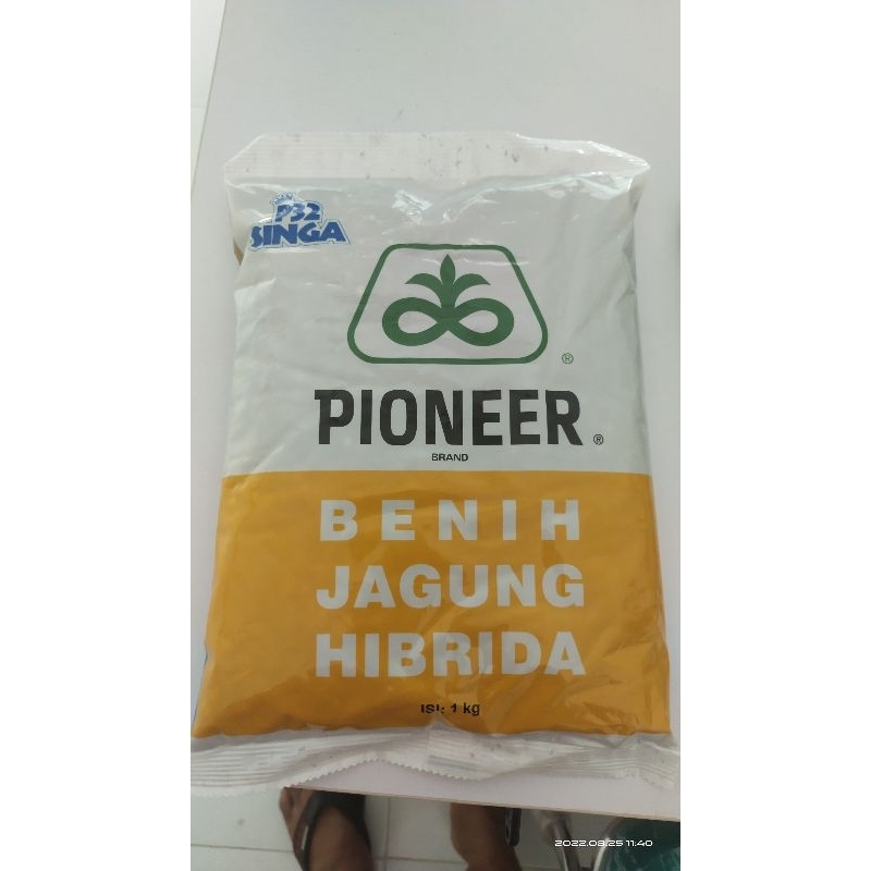 Benih Jagung Pioner P32 Singa