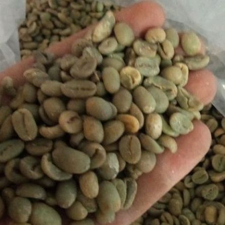 

GREEN BEAN LUWAK LIAR ARABICA GAYO 1 KG