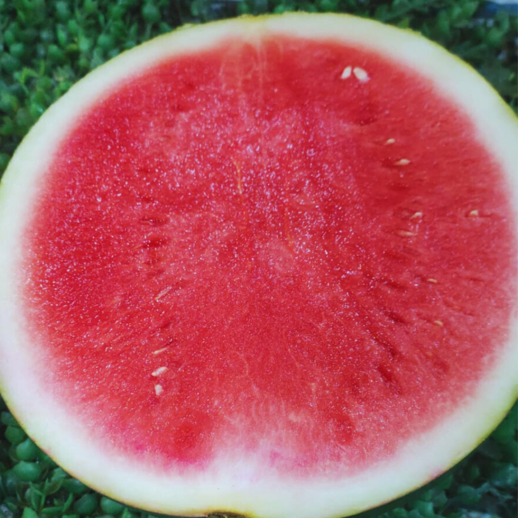 

SEMANGKA MERAH SEGAR UTUH / SEMANGKA KUNING / PISANG AMBON