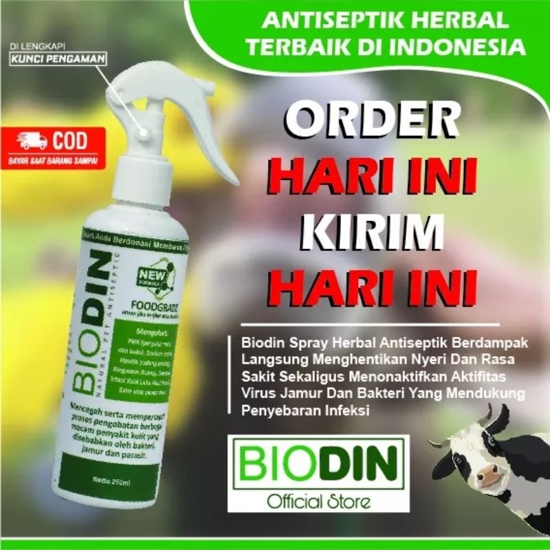 BIODIN SPRAY 250ml OBAT PMK SPRAY