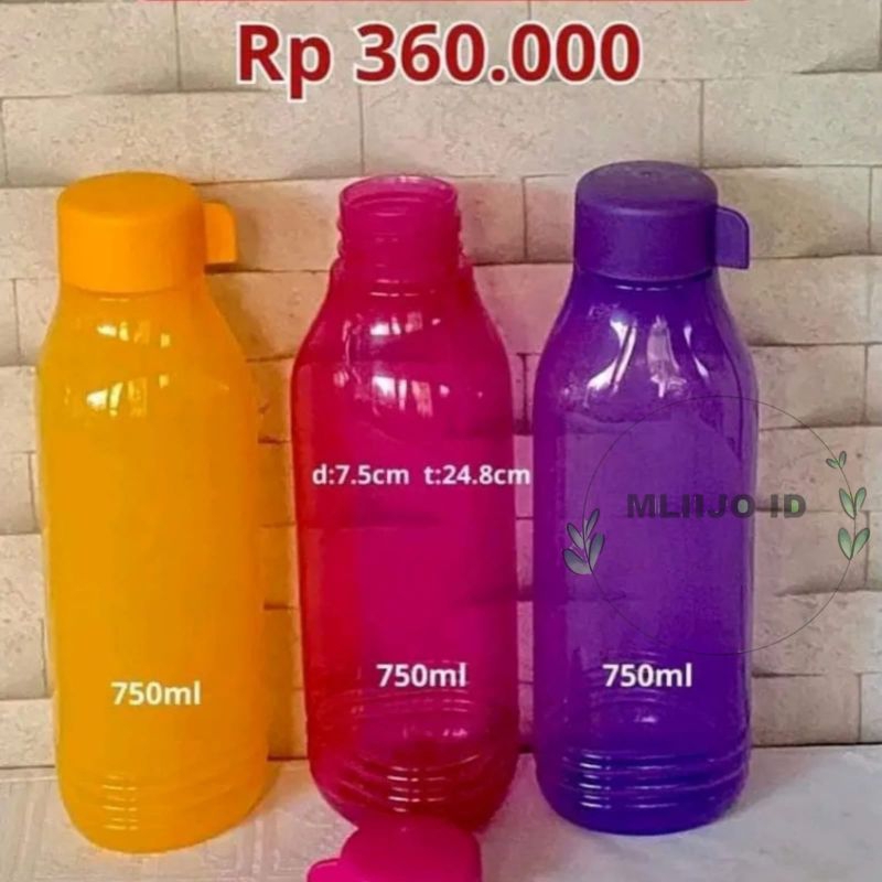 Eco Botol Groovy 750 ml tutup ulir botol minum Tupperware