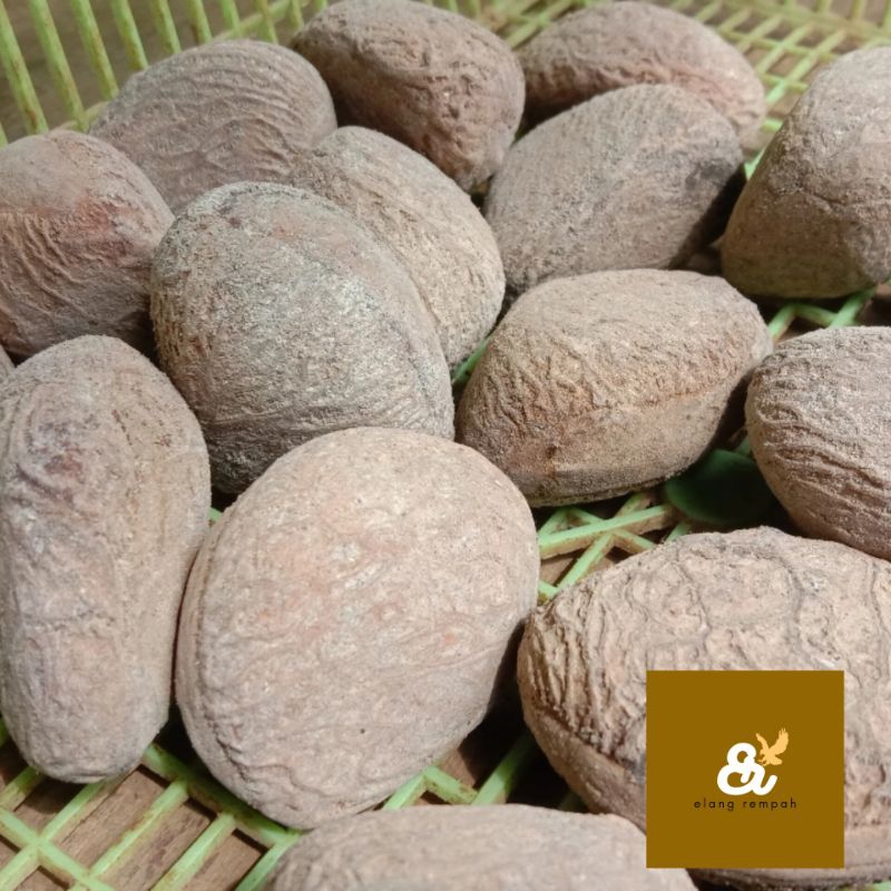 

KLUWEK HITAM SEGAR KLUWEK RAWON REMPAH BUMBU MASAK