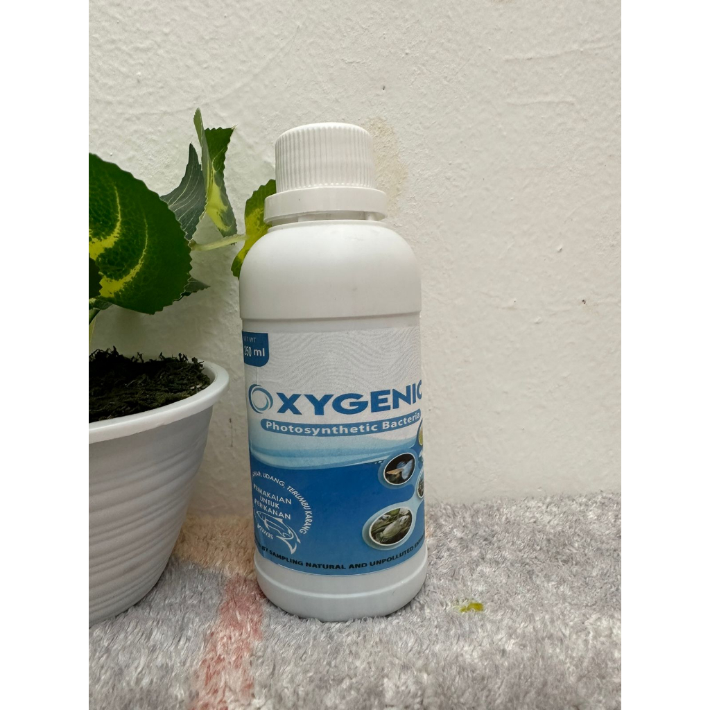 Oxygenic 250 ML Probiotik Bakteri Starter Kolam Akuarium Aquascape