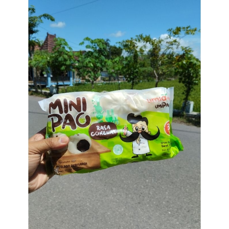 

Minipauo rasa coklat, strowberry, dan ayam.