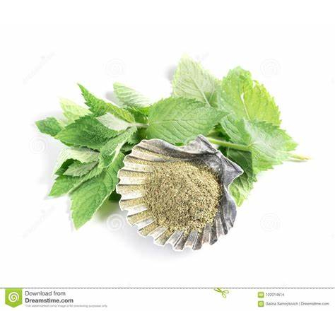 

Bubuk Daun Sage (100 gram) / Sage Leaves powder / Teh Daun Sage