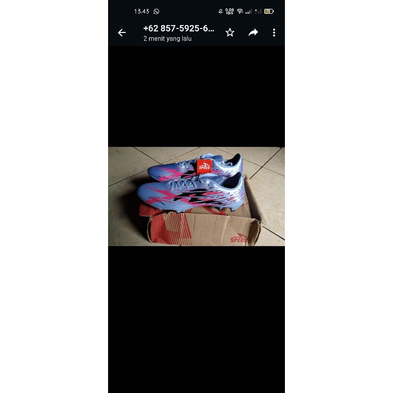 SPECS ACCELERATOR ALPHA XTD PRO FG