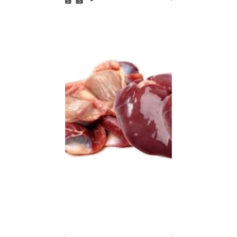 

Rempelo hati ayam 250gr/usus ayam