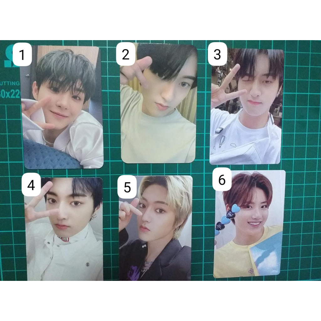 (READY)PC TREASURE JIHOON BOBOAN,HARUTO,JUNGHWAN,JAEHYUK DLL