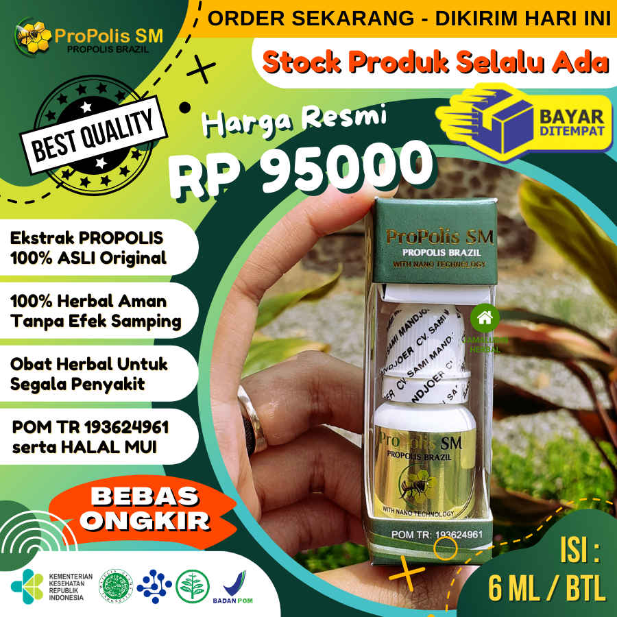 Obat Herbal Liver Bengkak, Fatty Liver, Liver Hati, Liver Kronis, Hepatitis Toksik, Liver Kolestasis