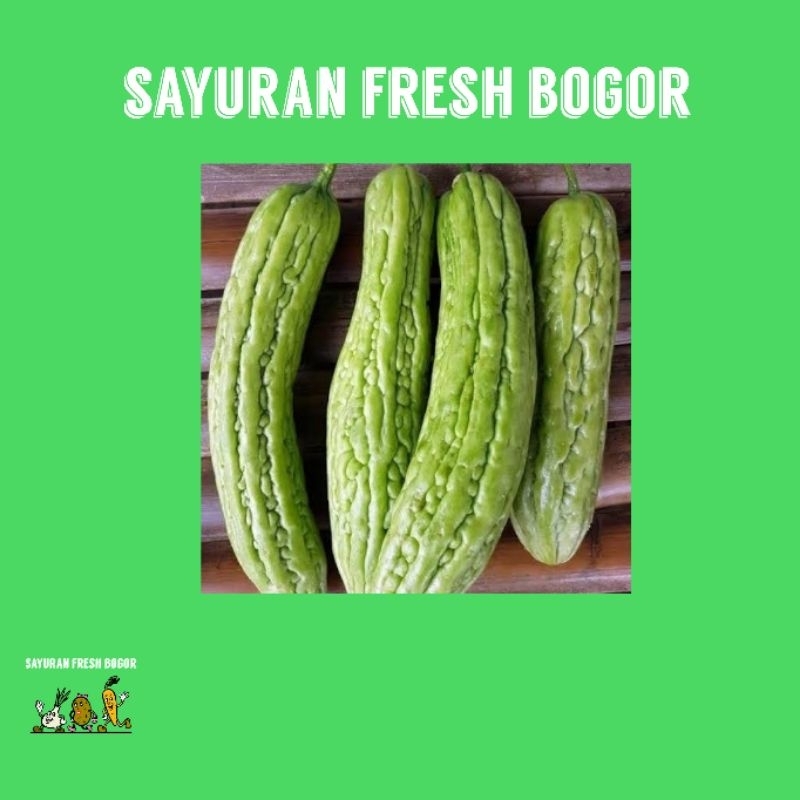 

Pare ( 500 Gram ) | Sayuran Fresh Bogo