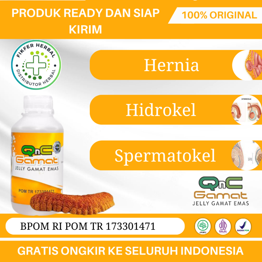 Obat Hernia, Turun Berok, Obat Epididimitis, Obat Hidrokel, Kanker Prostat, Spermatokel - QnC Jelly 