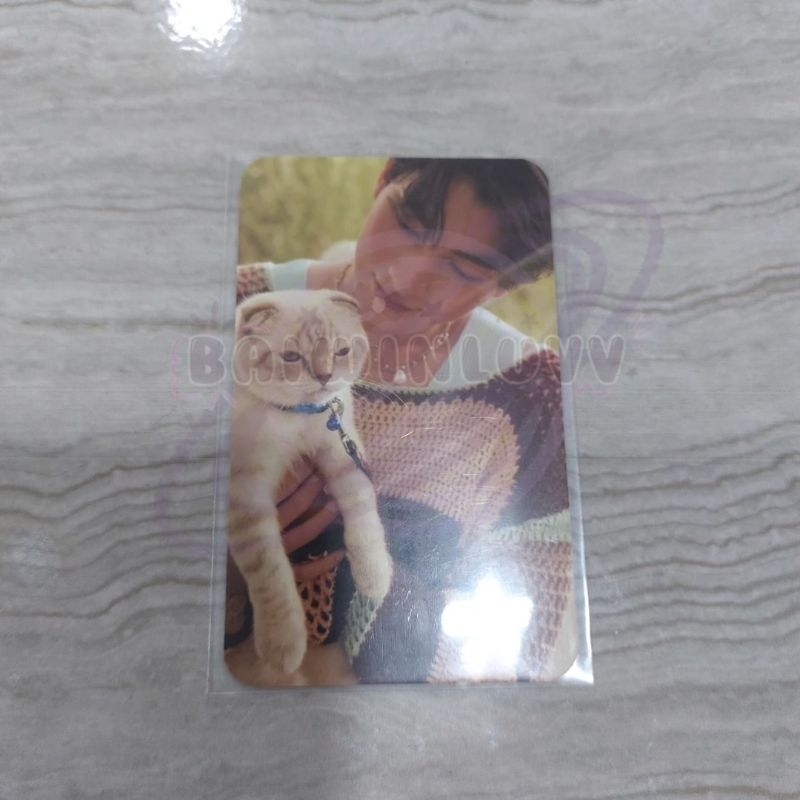 READY PHOTOCARD GULF KANAWUT FROM PET HIPSTER
