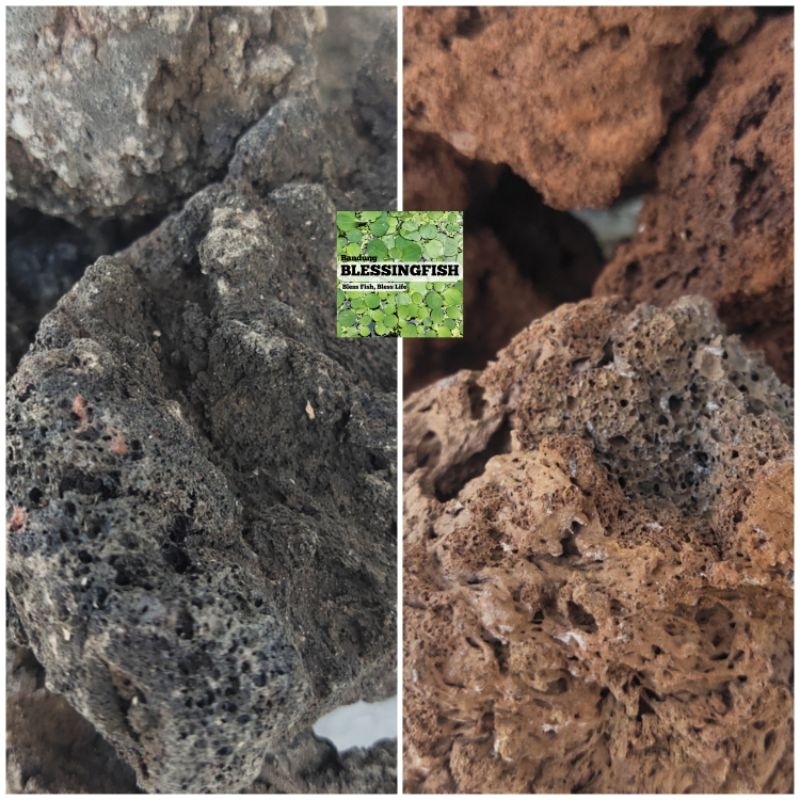 Batu Lava Rock Batu Lava Aquascape Batu Lava Rock Aquarium Batu Paludarium Batu LavaRock Merah Batu 
