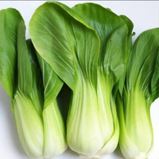 

Pak choy segar 500gr