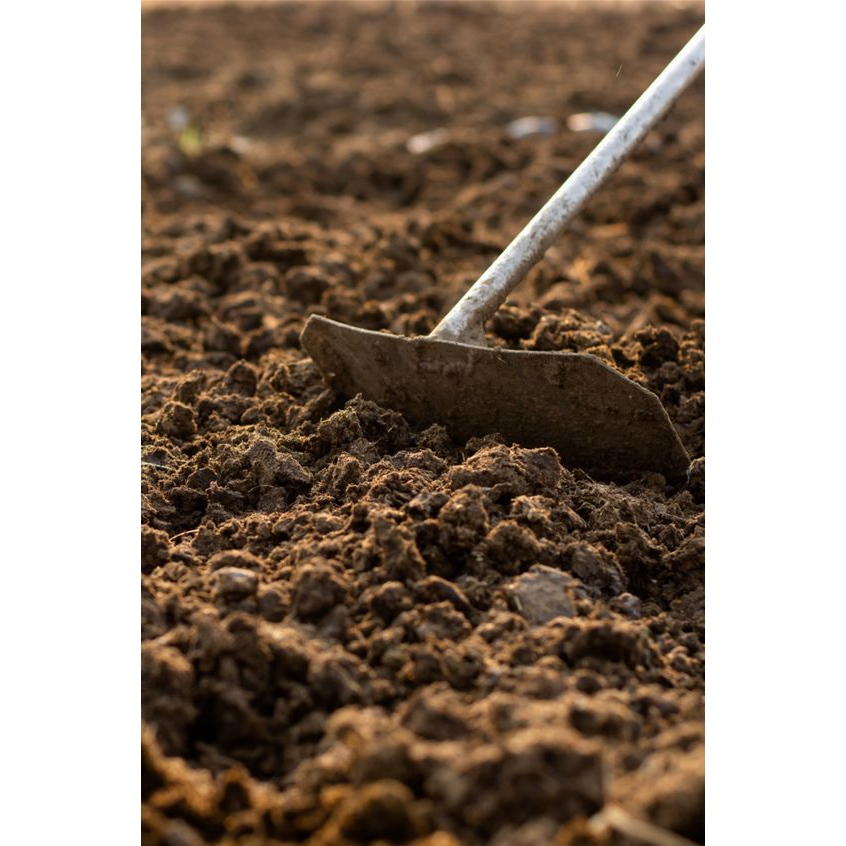 Adelonz Kohe Pupuk Kandang Sapi - Karung