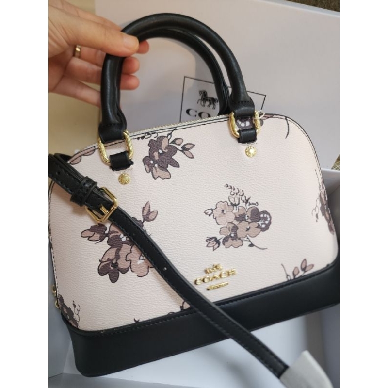 cch siera flower +box