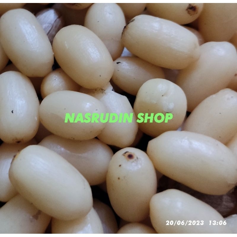 BIJI MELINJO KUPAS BERSIH / BUAH MELINJO KUPAS / MALINJO TANGKIL