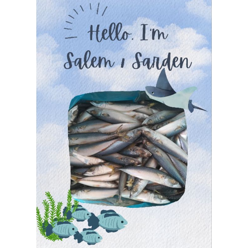 

Ikan Salem / Sarden 1 kg