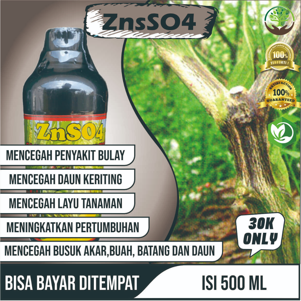 Obat Busuk Batang Cabe Terbaik ZNSO4 GAZA 500ML Obat Semprot Mencegah Busuk Akar, Busuk Buah, Busuk 