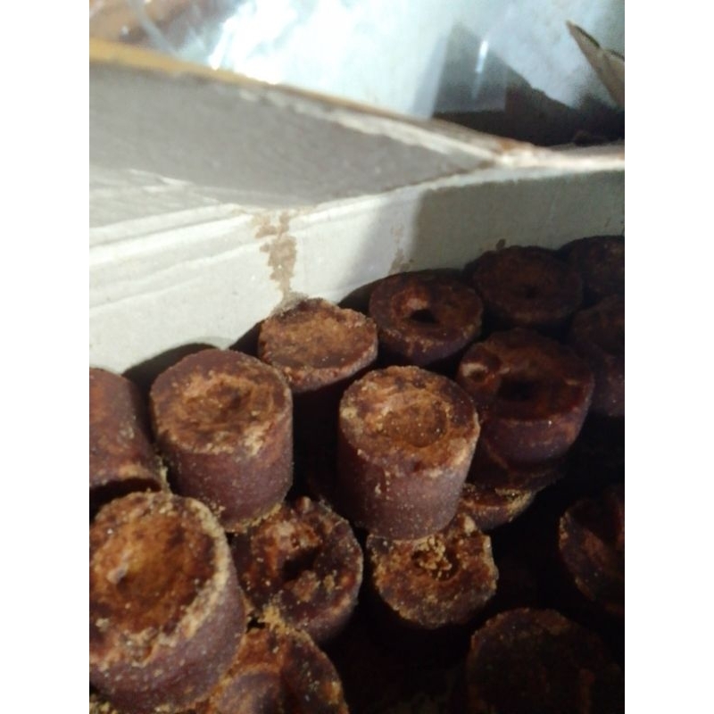 

gula aren