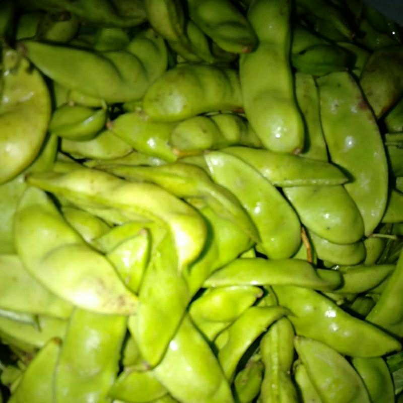 

Sayuran Koro Roay segar