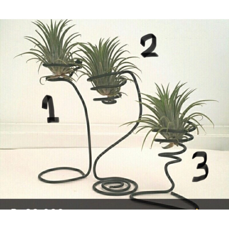 Airplant Pot Kawat