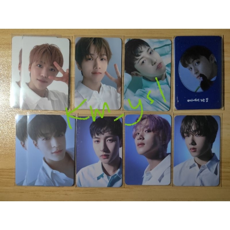 NCT Dream Trading Card Starry Day Dream
