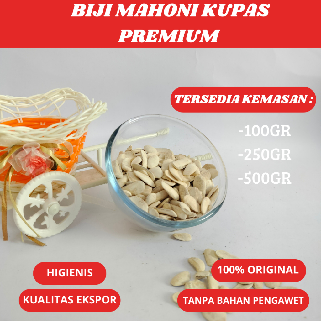 

BIJI MAHONI KUPAS KUALITAS UNGGULAN