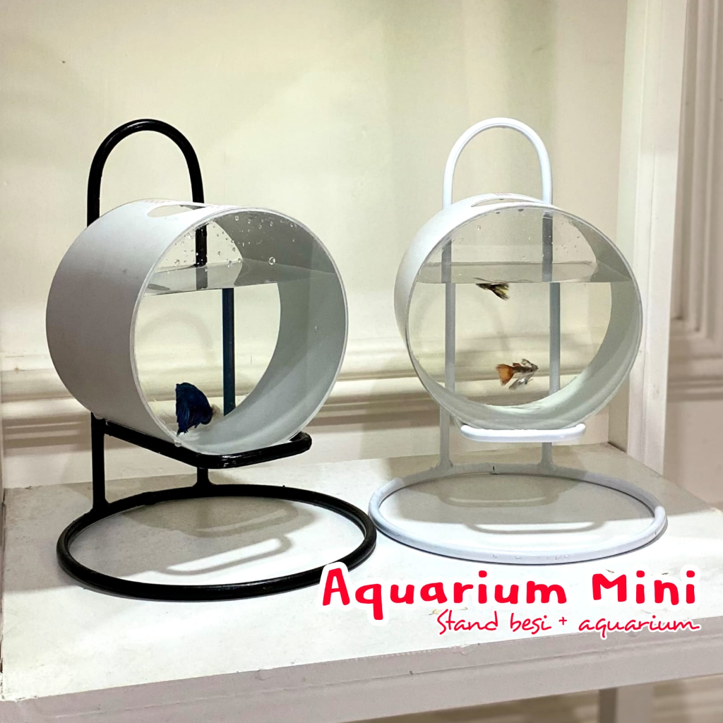 stand aquarium mini | lengkap stand besi plus aquarium