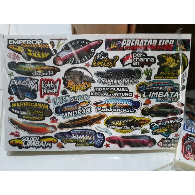 

12 lembar stiker ikan chana