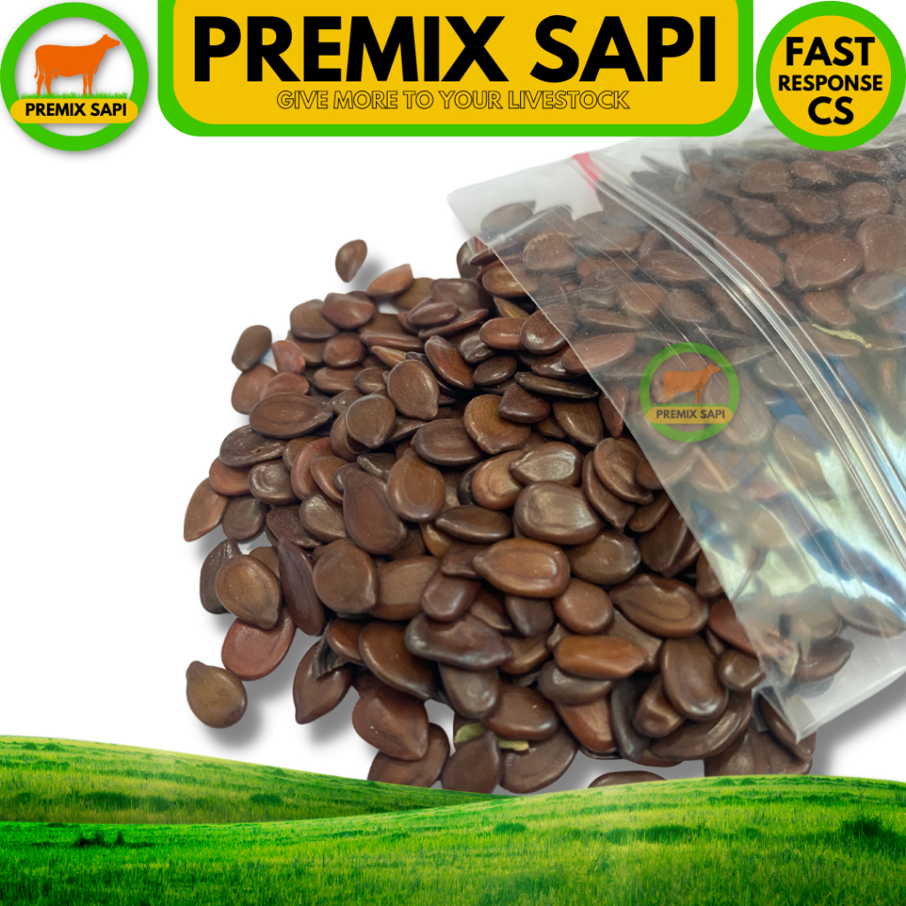 BENIH LAMTORO TARAMBA SUPER - Hijauan pakan ternak sumber protein - BIJI LAMTORO 1 kg