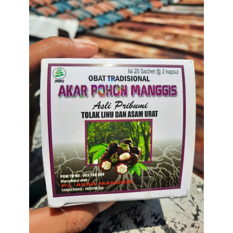 akar pohon manggis herbal asam urat original