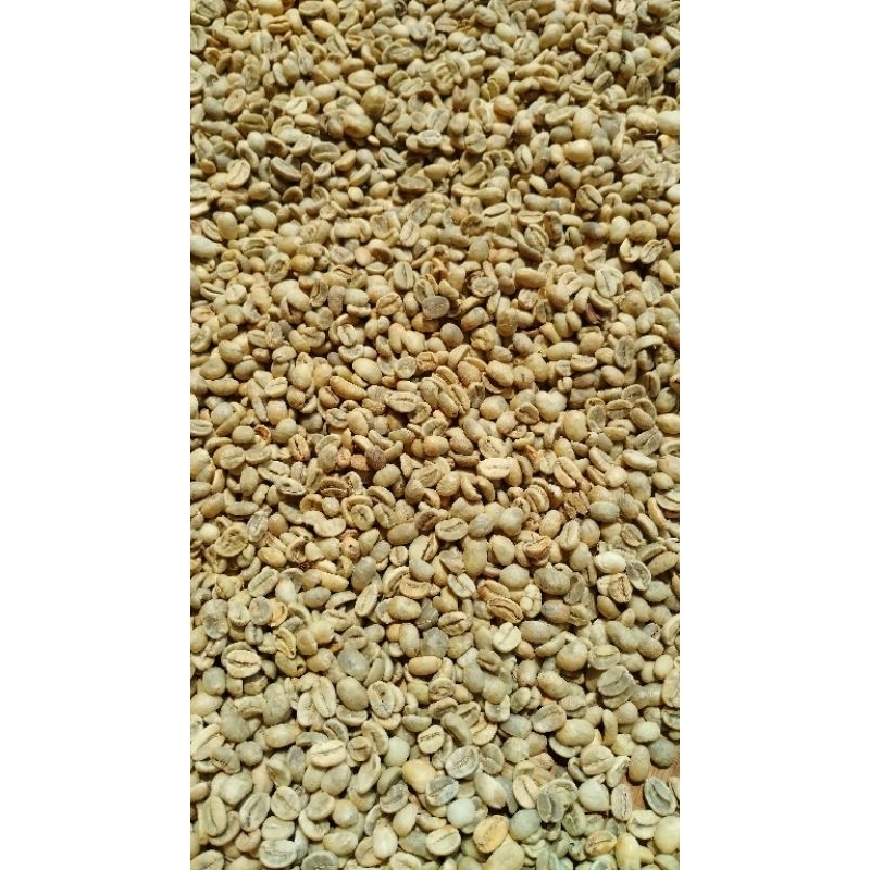 

greenben arabika bali banana anaerob