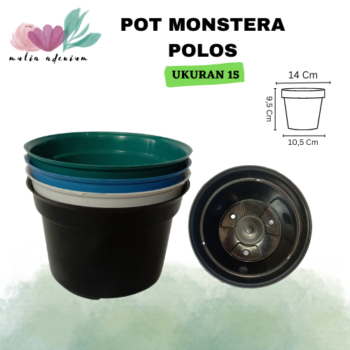 Pot Monstera 15 Polos | Pot Adenium Polos | Pot Plastik Polos Warna
