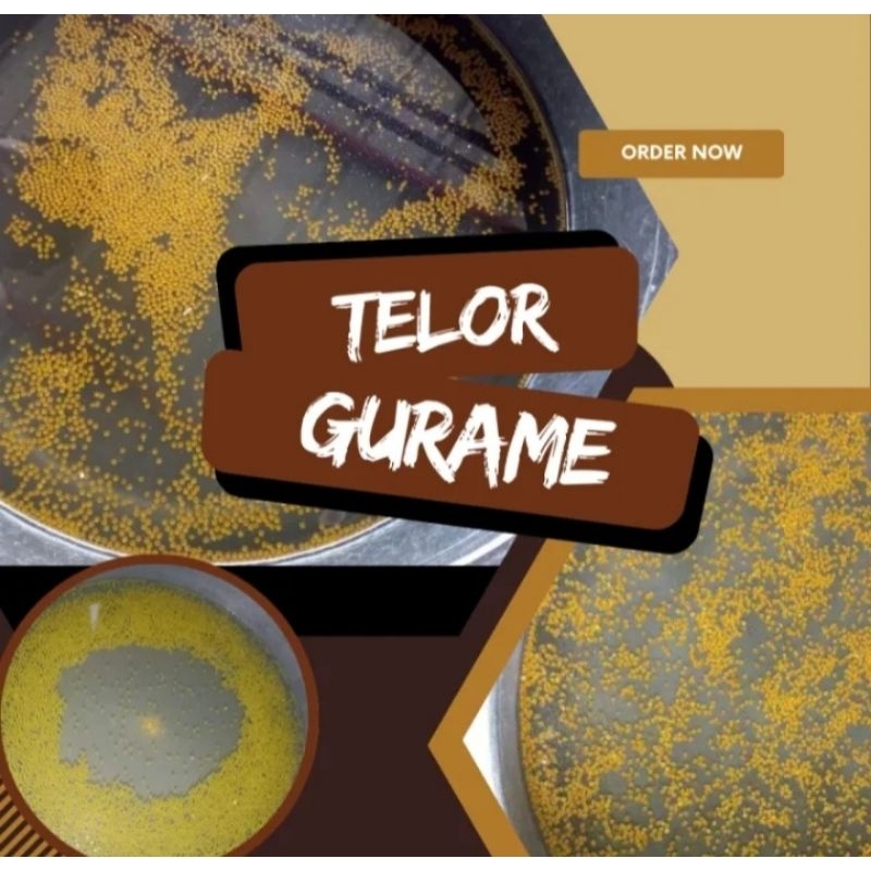 Termurah Telor Gurame Padang Paket 1000Butir Telur Sehat dan Berkualias