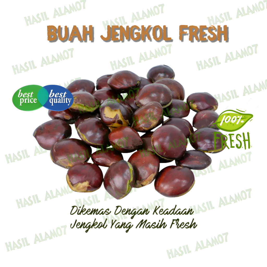 

Buah Biji Jengkol Segar 500 Gram