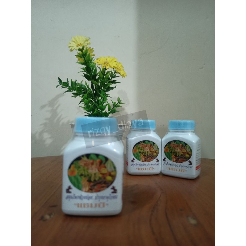 CHAMP BIRU - kamlang kering Champ pencernaan 100% ori Thailand
