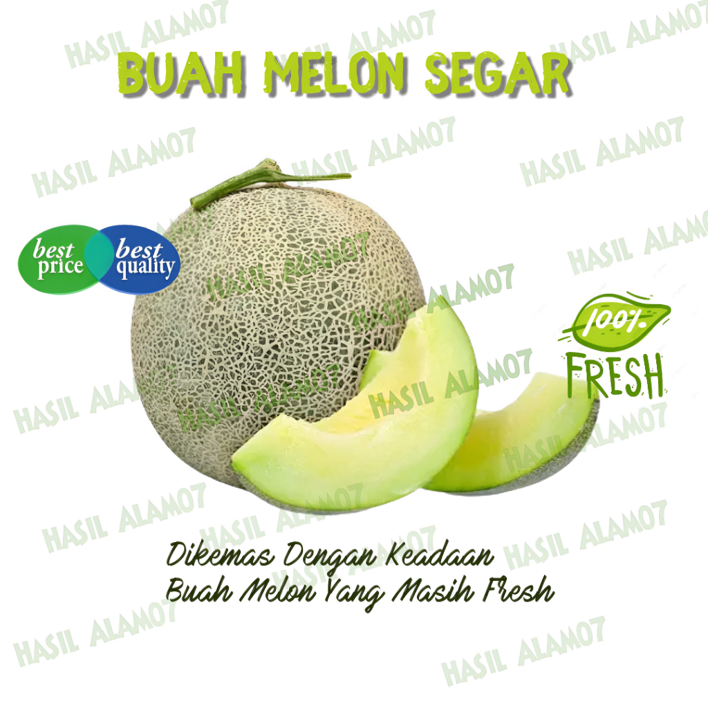 

Buah Melon Hijau Madu Segar 1 Buah