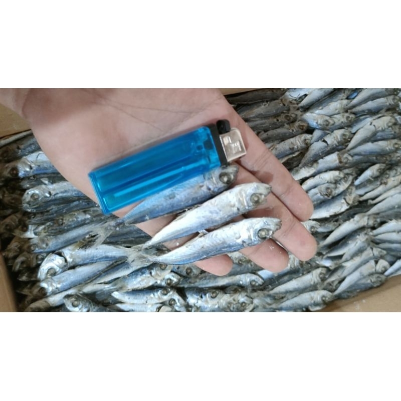 

ikan asin rebus layang/ogak/dancis kepala