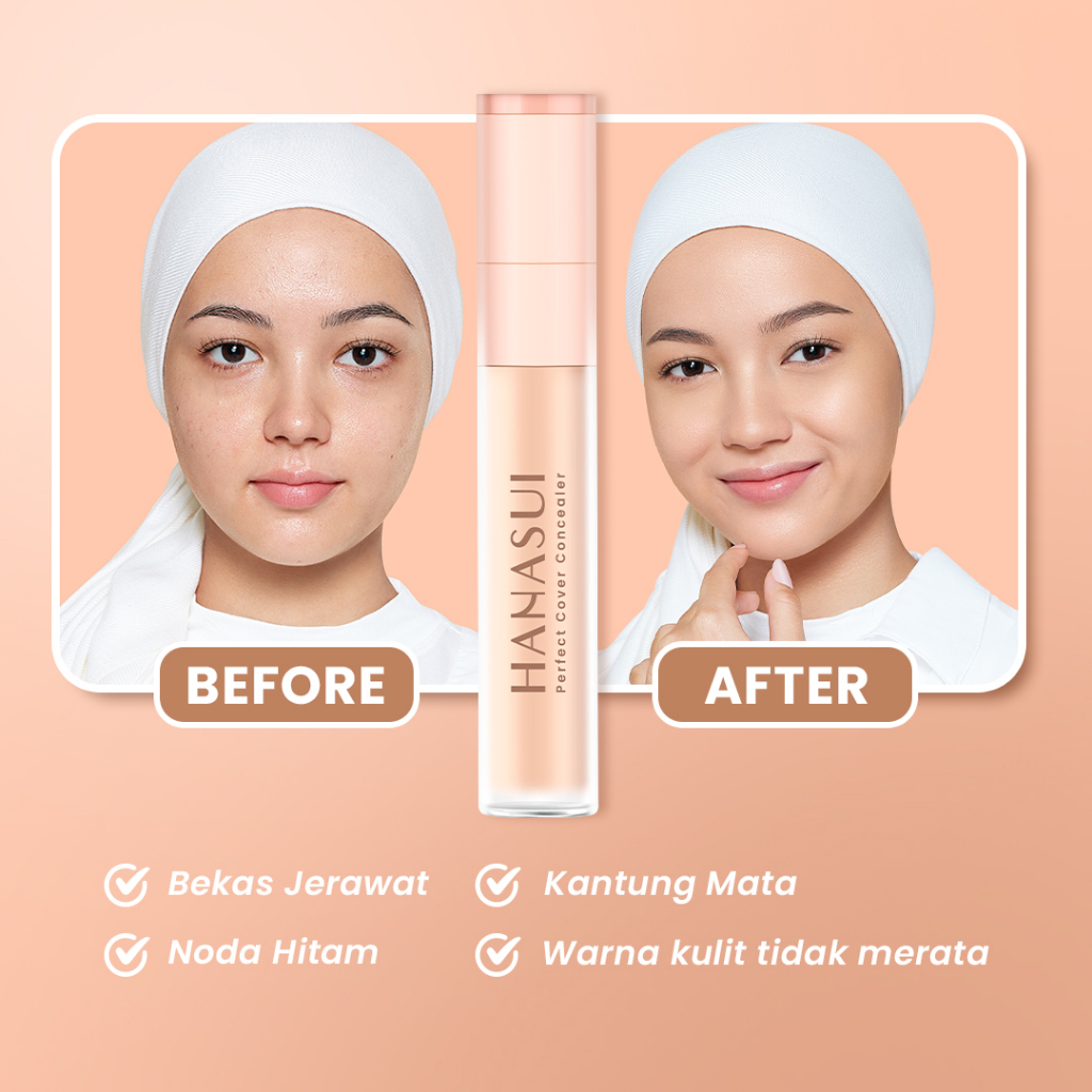 Hanasui Perfect Cover Concealer