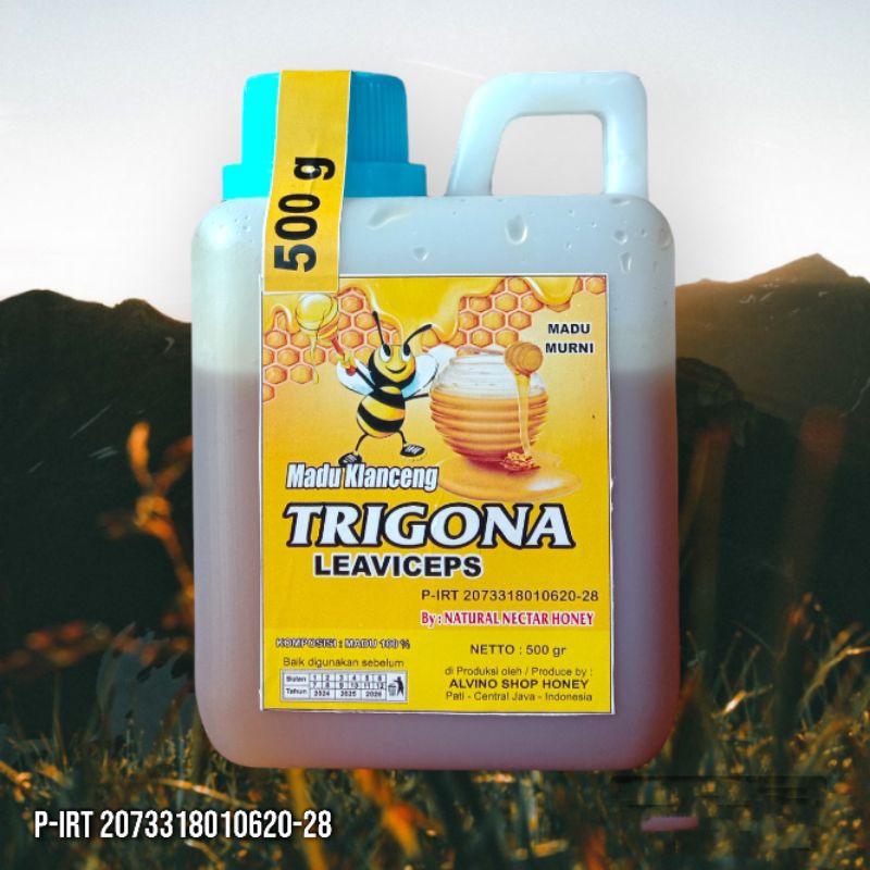 

Madu Klanceng/Trigona Leaviceps [ 500gr ] Asli Murni 100%