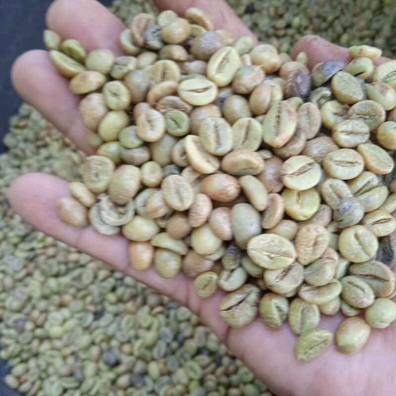 

greenbean robusta