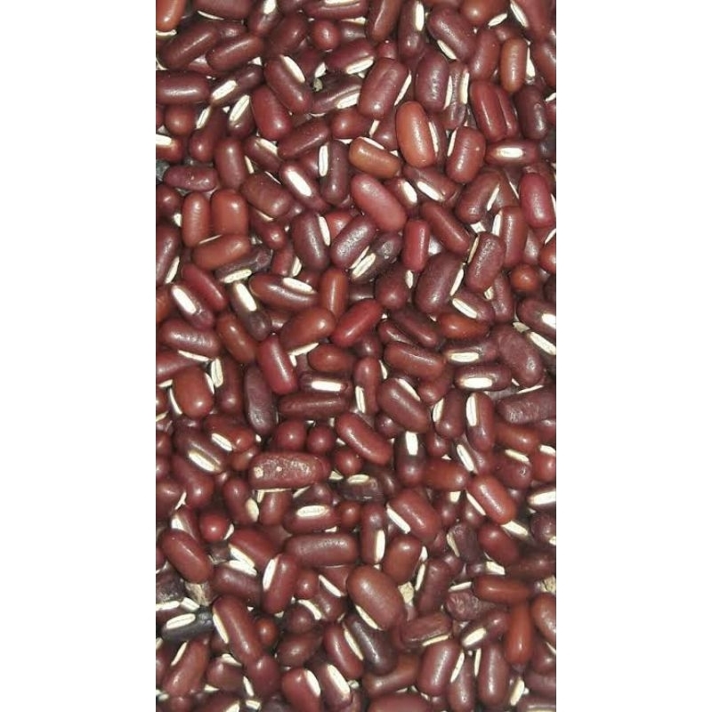 

Kacang Merah Es Import / Kacang Merah kecil 250 gram.