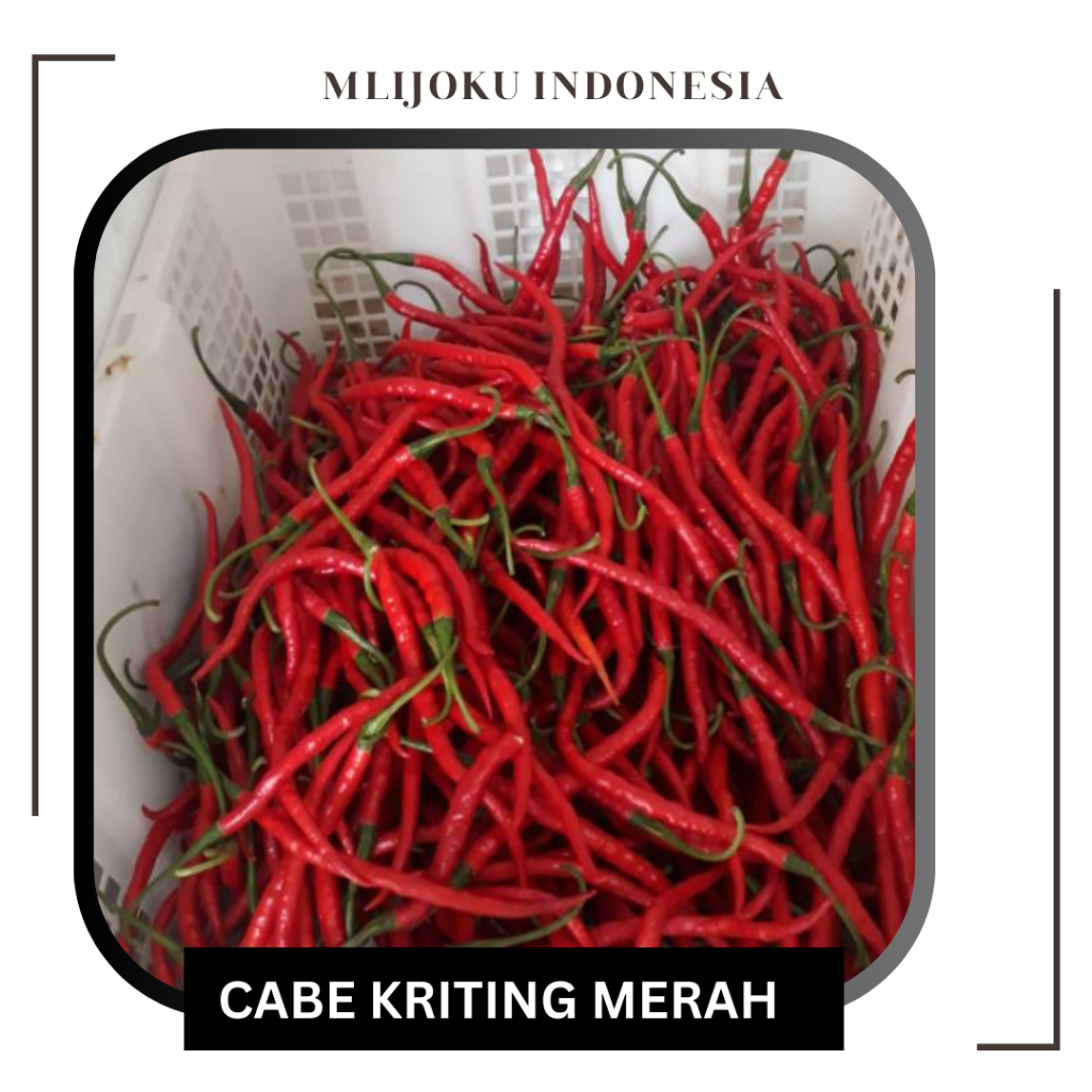 

Cabe - Cabai Merah Keriting Segar