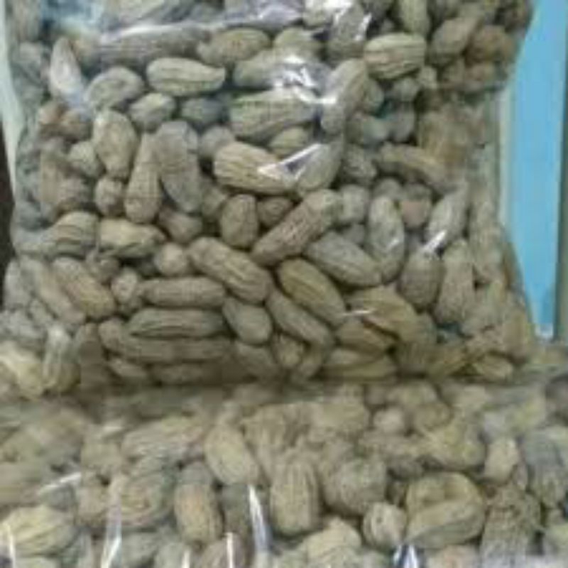 

Kacang Pasaman / Kacang randang Enak 500gr