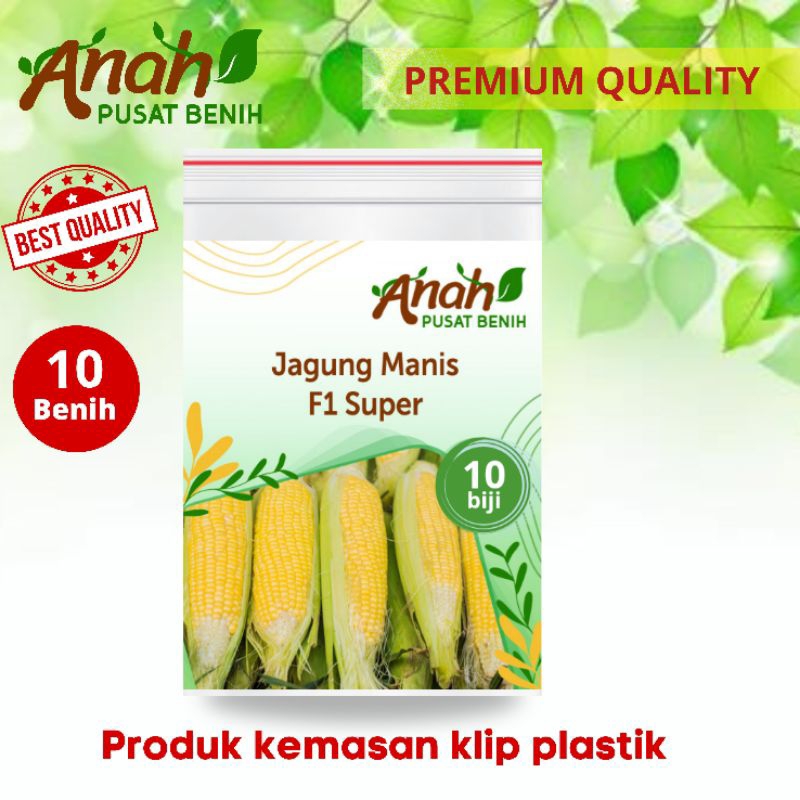 Benih Jagung Manis Hibrida Super / Isi Biji / Benih Super Murah