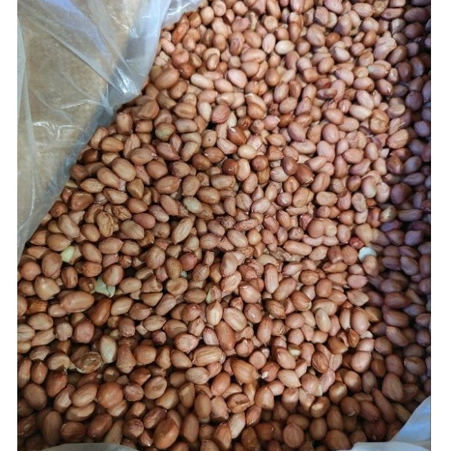 

Kacang Tanah 1kg