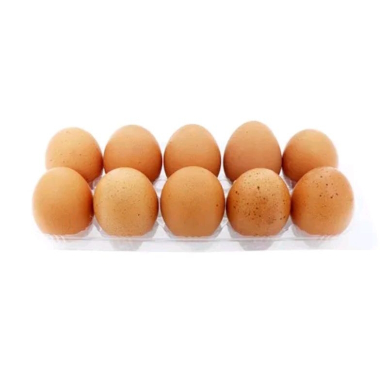 

telur ayam eropa 10 butir