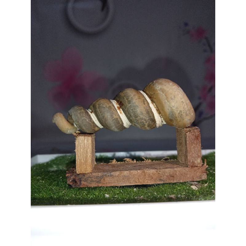 barang sesuai foto temuan alam barang antik unik