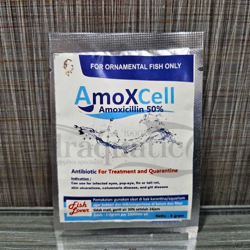 AMOXCELL 5 GRAM AMOXICILLIN 50% OBAT ANTIBIOTIK KARANTINA IKAN HIAS